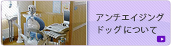 アンチエイジングドッグ