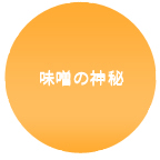 味噌の神秘