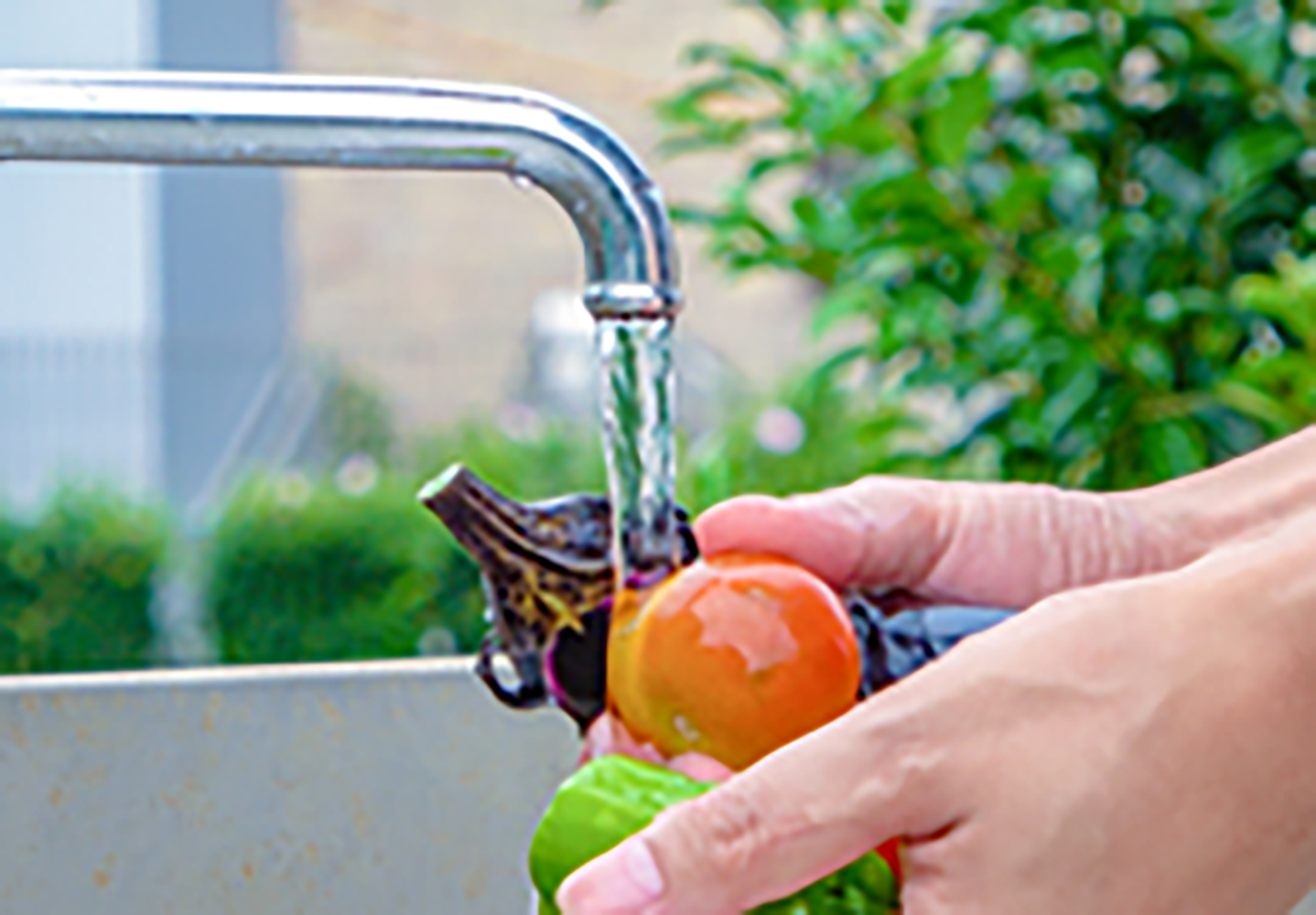 水道で野菜を洗う様子
