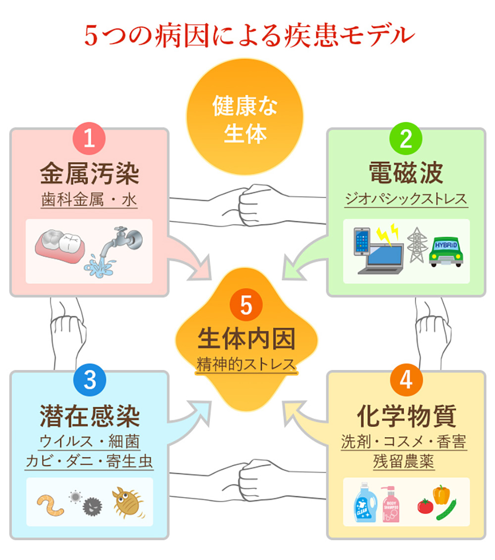 5つの病因による疾患モデル
